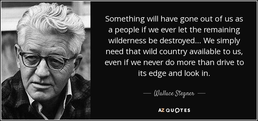 Something will have gone out of us as a people if we ever let the remaining wilderness be destroyed ... We simply need that wild country available to us, even if we never do more than drive to its edge and look in. - Wallace Stegner