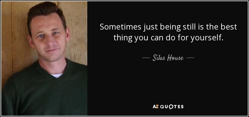 Sometimes just being still is the best thing you can do for yourself. - Silas House