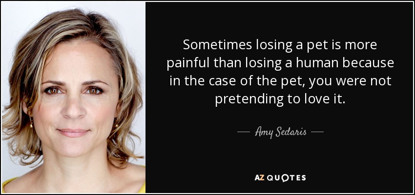 Sometimes losing a pet is more painful than losing a human because in the case of the pet, you were not pretending to love it. - Amy Sedaris