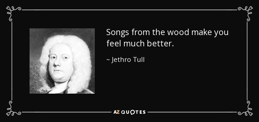 Songs from the wood make you feel much better. - Jethro Tull