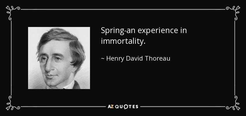 Spring-an experience in immortality. - Henry David Thoreau