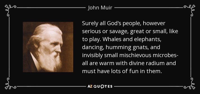 Surely all God's people, however serious or savage, great or small, like to play. Whales and elephants, dancing, humming gnats, and invisibly small mischievous microbes- all are warm with divine radium and must have lots of fun in them. - John Muir