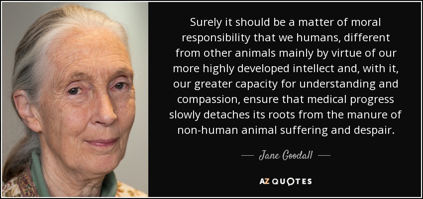 Surely it should be a matter of moral responsibility that we humans, different from other animals mainly by virtue of our more highly developed intellect and, with it, our greater capacity for understanding and compassion, ensure that medical progress slowly detaches its roots from the manure of non-human animal suffering and despair. - Jane Goodall