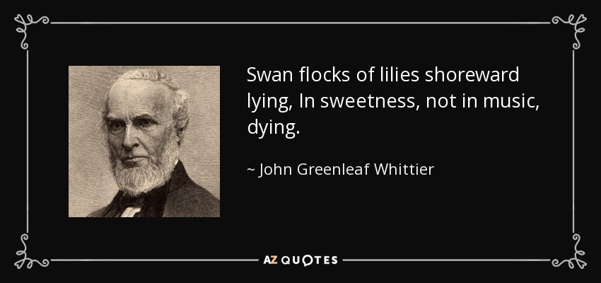 Swan flocks of lilies shoreward lying, In sweetness, not in music, dying. - John Greenleaf Whittier
