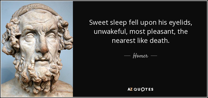 Sweet sleep fell upon his eyelids, unwakeful, most pleasant, the nearest like death. - Homer