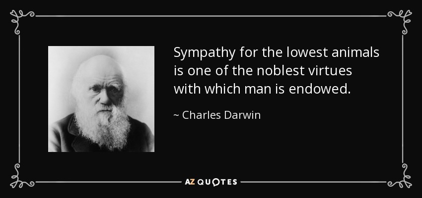 Sympathy for the lowest animals is one of the noblest virtues with which man is endowed. - Charles Darwin