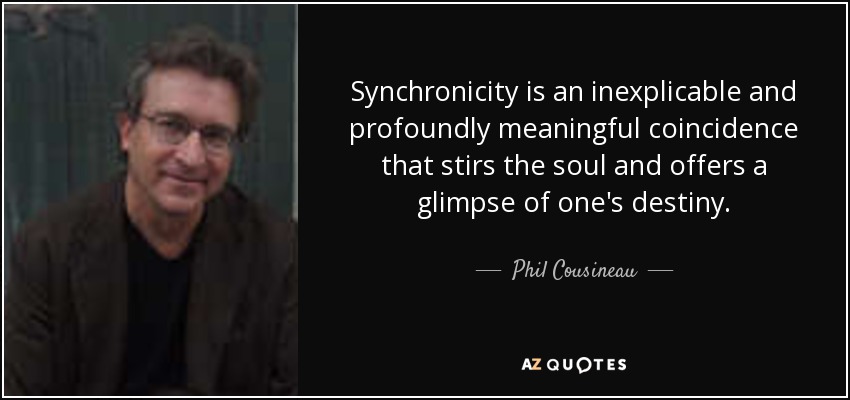 Synchronicity is an inexplicable and profoundly meaningful coincidence that stirs the soul and offers a glimpse of one's destiny. - Phil Cousineau