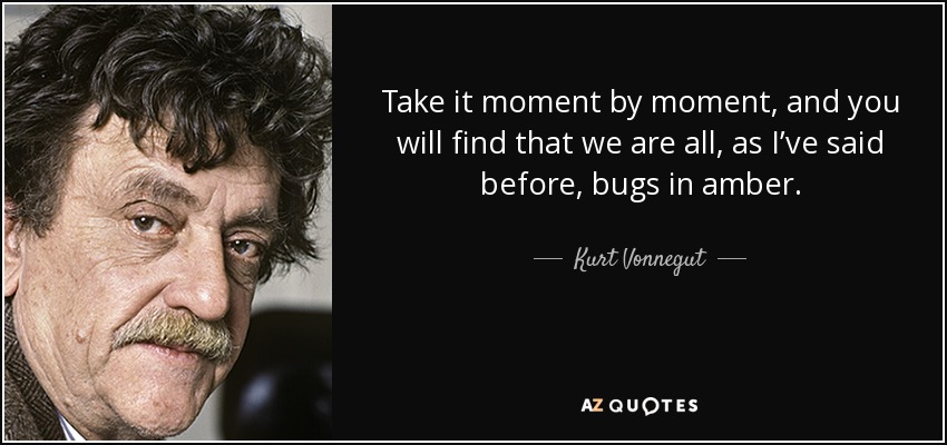 Take it moment by moment, and you will find that we are all, as I’ve said before, bugs in amber. - Kurt Vonnegut