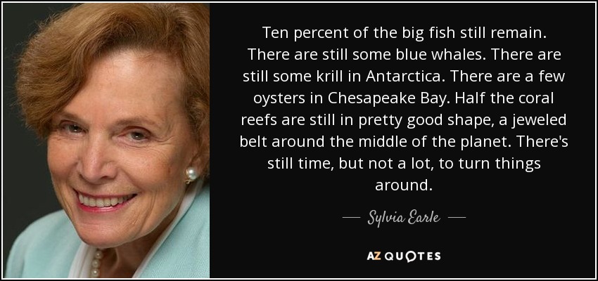 Ten percent of the big fish still remain. There are still some blue whales. There are still some krill in Antarctica. There are a few oysters in Chesapeake Bay. Half the coral reefs are still in pretty good shape, a jeweled belt around the middle of the planet. There's still time, but not a lot, to turn things around. - Sylvia Earle