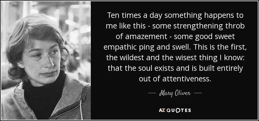 Ten times a day something happens to me like this - some strengthening throb of amazement - some good sweet empathic ping and swell. This is the first, the wildest and the wisest thing I know: that the soul exists and is built entirely out of attentiveness. - Mary Oliver