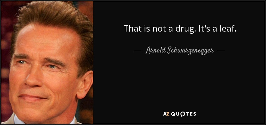 That is not a drug. It's a leaf. - Arnold Schwarzenegger