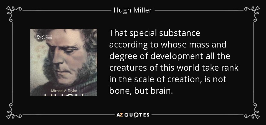 That special substance according to whose mass and degree of development all the creatures of this world take rank in the scale of creation, is not bone, but brain. - Hugh Miller