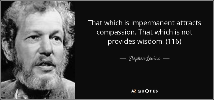 That which is impermanent attracts compassion. That which is not provides wisdom. (116) - Stephen Levine