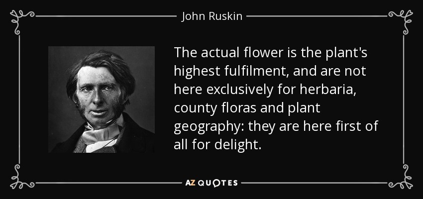 The actual flower is the plant's highest fulfilment, and are not here exclusively for herbaria, county floras and plant geography: they are here first of all for delight. - John Ruskin