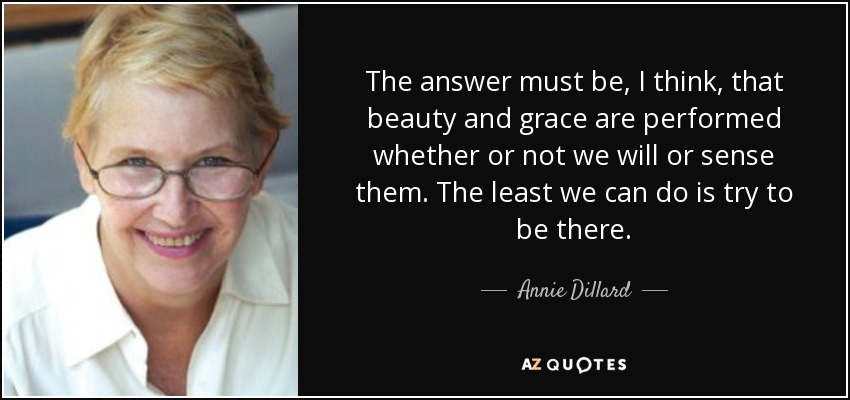 The answer must be, I think, that beauty and grace are performed whether or not we will or sense them. The least we can do is try to be there. - Annie Dillard