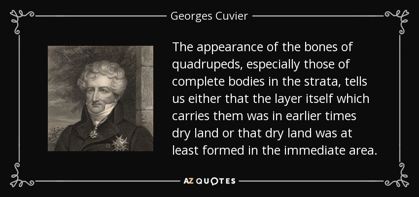 The appearance of the bones of quadrupeds, especially those of complete bodies in the strata, tells us either that the layer itself which carries them was in earlier times dry land or that dry land was at least formed in the immediate area. - Georges Cuvier