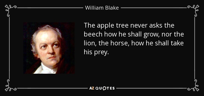 The apple tree never asks the beech how he shall grow, nor the lion, the horse, how he shall take his prey. - William Blake
