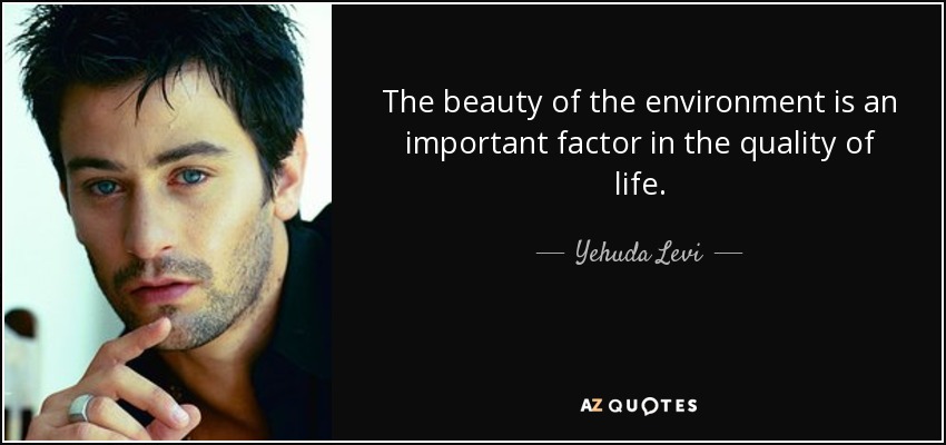 The beauty of the environment is an important factor in the quality of life. - Yehuda Levi