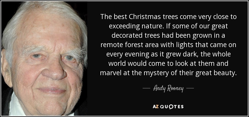 The best Christmas trees come very close to exceeding nature. If some of our great decorated trees had been grown in a remote forest area with lights that came on every evening as it grew dark, the whole world would come to look at them and marvel at the mystery of their great beauty. - Andy Rooney