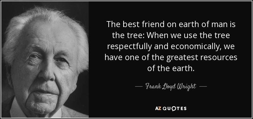 The best friend on earth of man is the tree: When we use the tree respectfully and economically, we have one of the greatest resources of the earth. - Frank Lloyd Wright