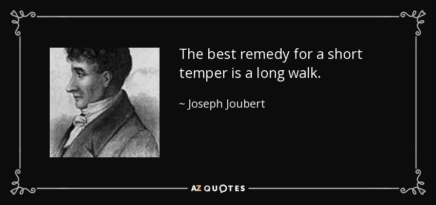 The best remedy for a short temper is a long walk. - Joseph Joubert