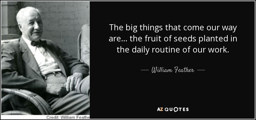 The big things that come our way are ... the fruit of seeds planted in the daily routine of our work. - William Feather