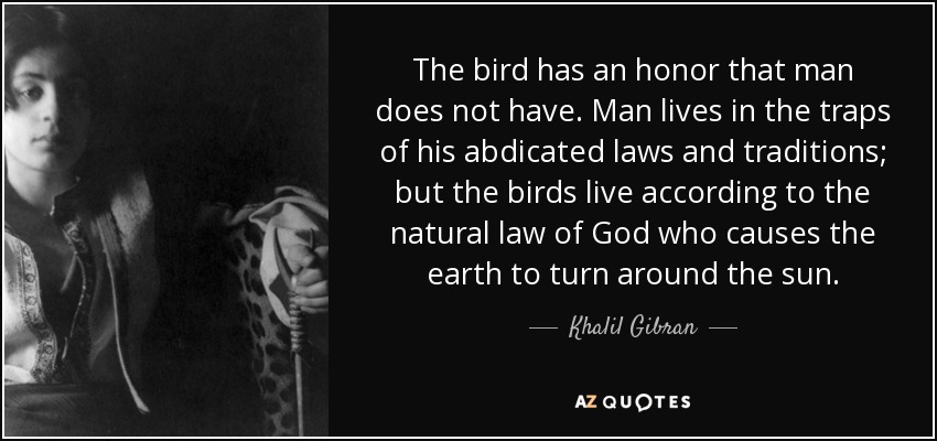The bird has an honor that man does not have. Man lives in the traps of his abdicated laws and traditions; but the birds live according to the natural law of God who causes the earth to turn around the sun. - Khalil Gibran