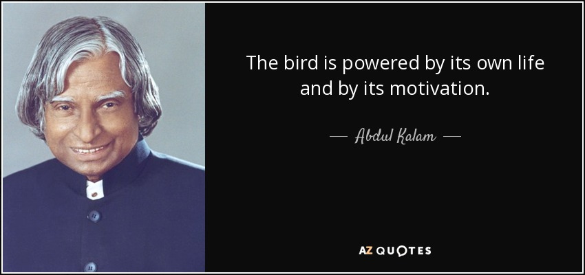 The bird is powered by its own life and by its motivation. - Abdul Kalam