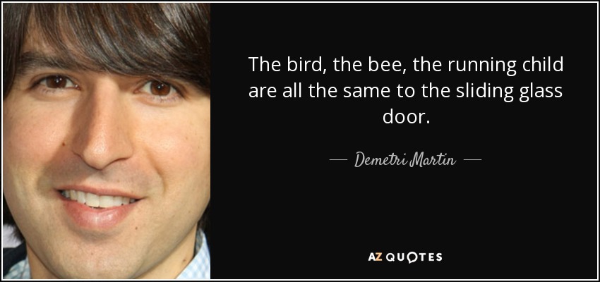 The bird, the bee, the running child are all the same to the sliding glass door. - Demetri Martin