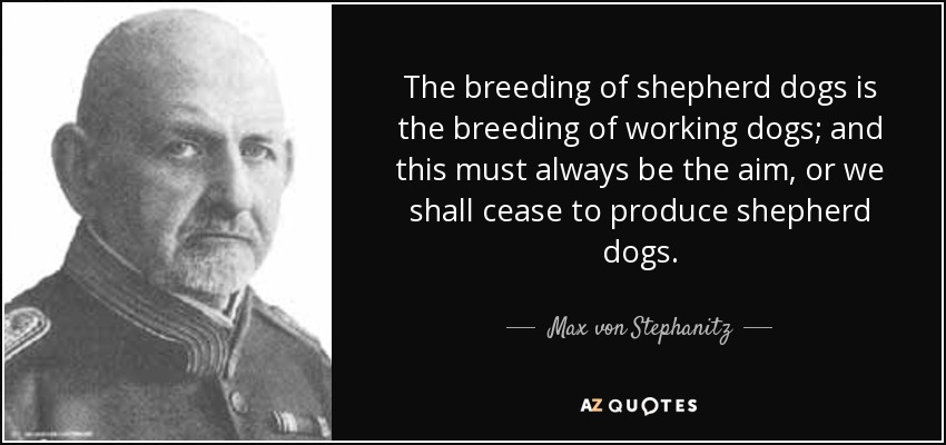 The breeding of shepherd dogs is the breeding of working dogs; and this must always be the aim, or we shall cease to produce shepherd dogs. - Max von Stephanitz