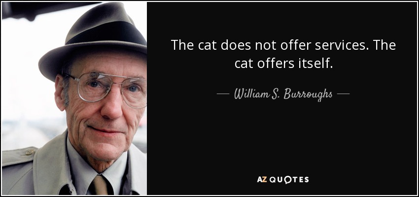The cat does not offer services. The cat offers itself. - William S. Burroughs