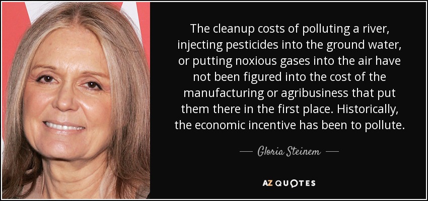 The cleanup costs of polluting a river, injecting pesticides into the ground water, or putting noxious gases into the air have not been figured into the cost of the manufacturing or agribusiness that put them there in the first place. Historically, the economic incentive has been to pollute. - Gloria Steinem