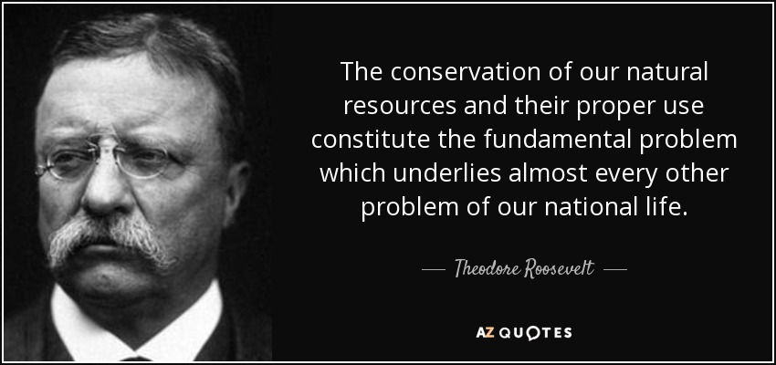 The conservation of our natural resources and their proper use constitute the fundamental problem which underlies almost every other problem of our national life. - Theodore Roosevelt