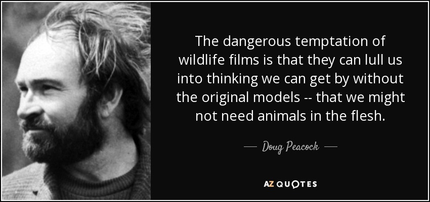 The dangerous temptation of wildlife films is that they can lull us into thinking we can get by without the original models -- that we might not need animals in the flesh. - Doug Peacock