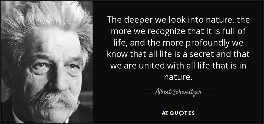The deeper we look into nature, the more we recognize that it is full of life, and the more profoundly we know that all life is a secret and that we are united with all life that is in nature. - Albert Schweitzer