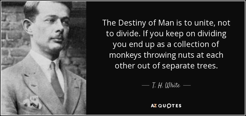 The Destiny of Man is to unite, not to divide. If you keep on dividing you end up as a collection of monkeys throwing nuts at each other out of separate trees. - T. H. White