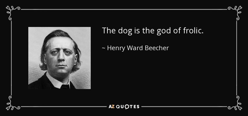 The dog is the god of frolic. - Henry Ward Beecher