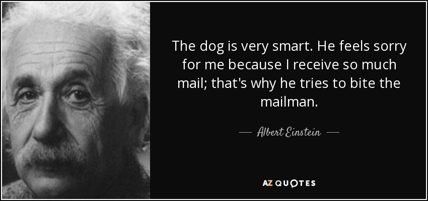 The dog is very smart. He feels sorry for me because I receive so much mail; that's why he tries to bite the mailman. - Albert Einstein