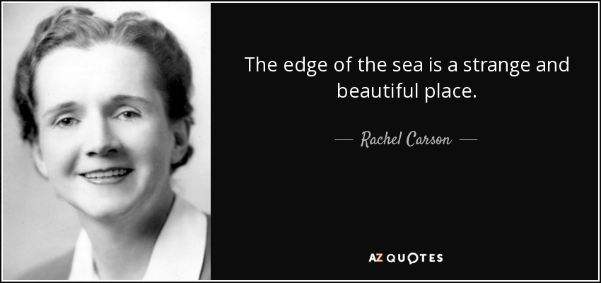The edge of the sea is a strange and beautiful place. - Rachel Carson