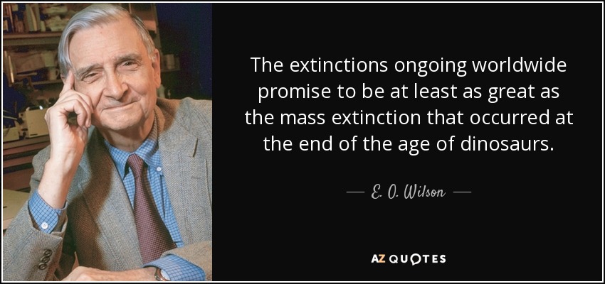 The extinctions ongoing worldwide promise to be at least as great as the mass extinction that occurred at the end of the age of dinosaurs. - E. O. Wilson