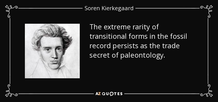 The extreme rarity of transitional forms in the fossil record persists as the trade secret of paleontology. - Soren Kierkegaard