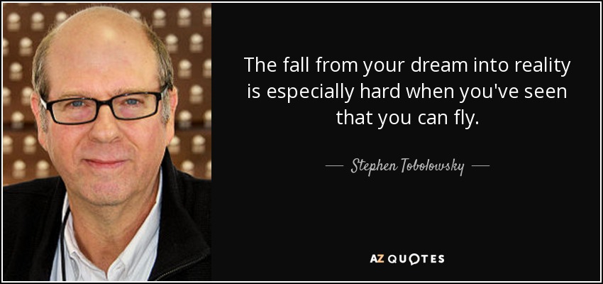 The fall from your dream into reality is especially hard when you've seen that you can fly. - Stephen Tobolowsky