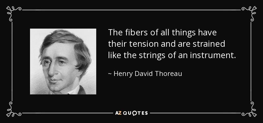 The fibers of all things have their tension and are strained like the strings of an instrument. - Henry David Thoreau