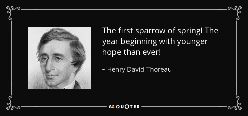 The first sparrow of spring! The year beginning with younger hope than ever! - Henry David Thoreau