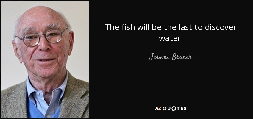 The fish will be the last to discover water. - Jerome Bruner