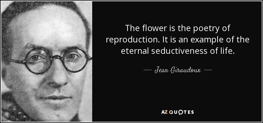 The flower is the poetry of reproduction. It is an example of the eternal seductiveness of life. - Jean Giraudoux