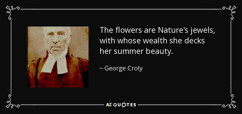 The flowers are Nature's jewels, with whose wealth she decks her summer beauty. - George Croly