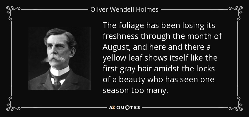 The foliage has been losing its freshness through the month of August, and here and there a yellow leaf shows itself like the first gray hair amidst the locks of a beauty who has seen one season too many. - Oliver Wendell Holmes, Jr.