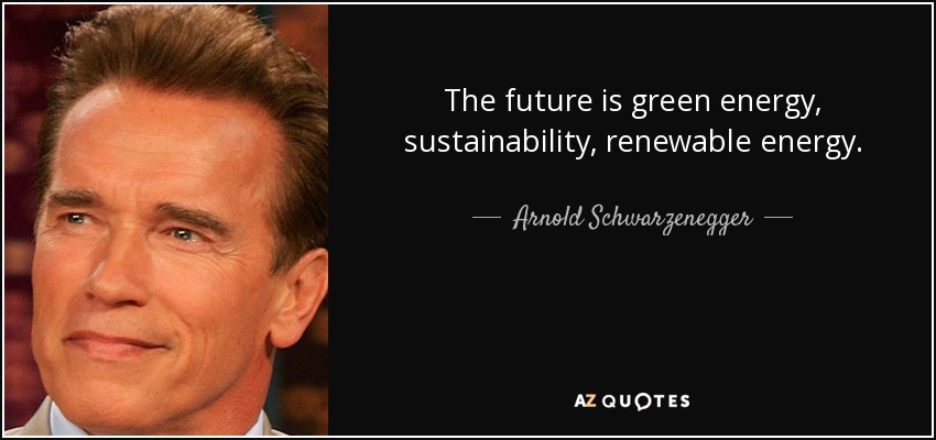 The future is green energy, sustainability, renewable energy. - Arnold Schwarzenegger