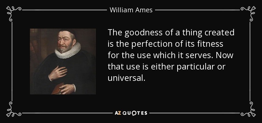 The goodness of a thing created is the perfection of its fitness for the use which it serves. Now that use is either particular or universal. - William Ames